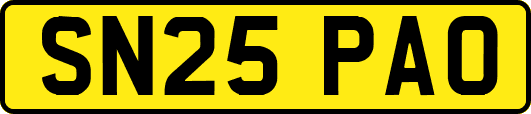 SN25PAO