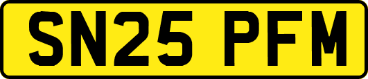SN25PFM
