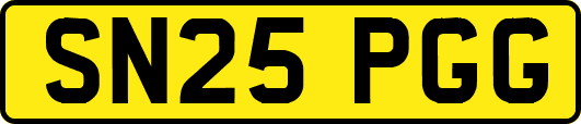SN25PGG