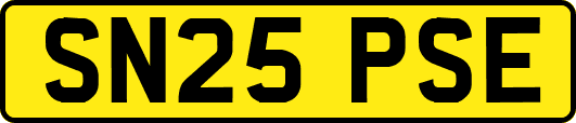 SN25PSE