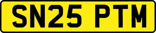 SN25PTM
