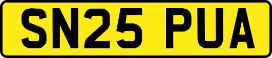 SN25PUA