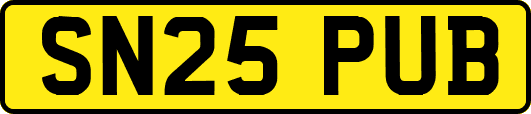 SN25PUB