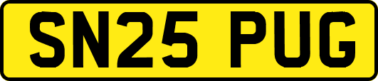 SN25PUG