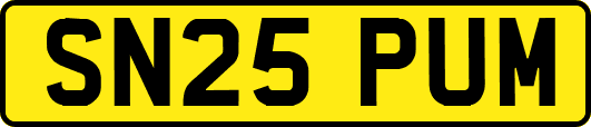 SN25PUM