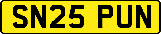 SN25PUN
