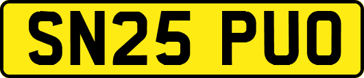 SN25PUO