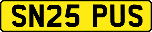 SN25PUS