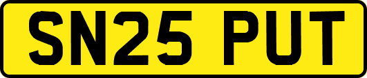 SN25PUT
