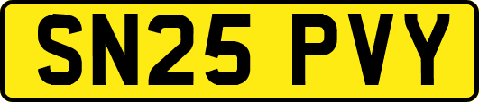 SN25PVY