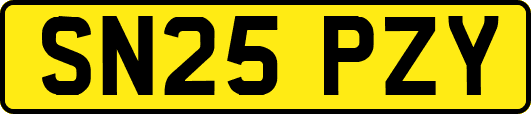 SN25PZY