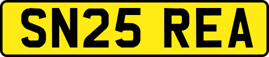SN25REA