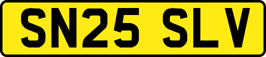 SN25SLV