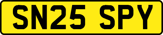 SN25SPY
