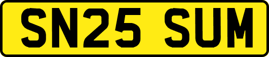 SN25SUM