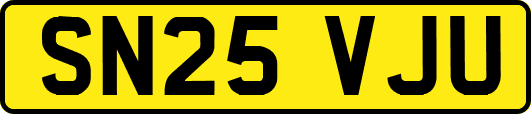 SN25VJU