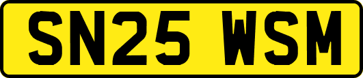SN25WSM