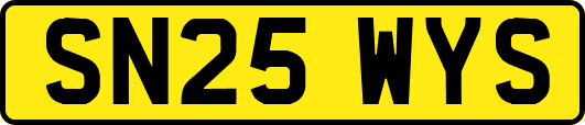 SN25WYS