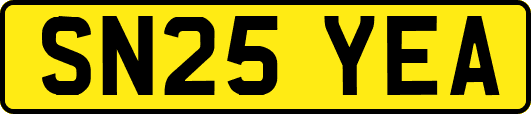 SN25YEA