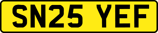 SN25YEF