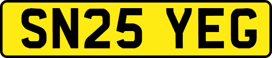 SN25YEG