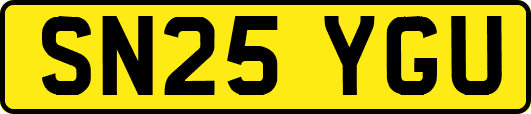 SN25YGU