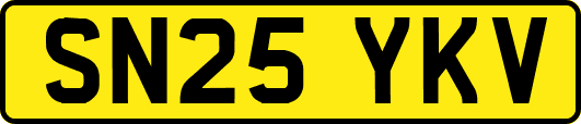SN25YKV
