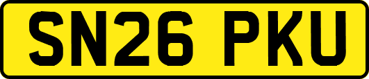 SN26PKU