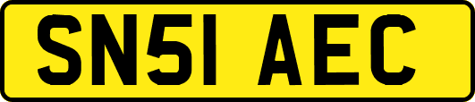 SN51AEC