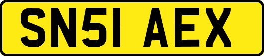 SN51AEX