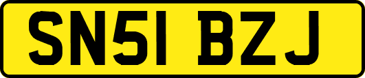 SN51BZJ