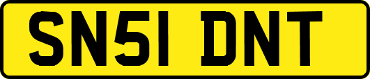 SN51DNT