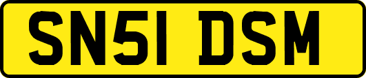 SN51DSM