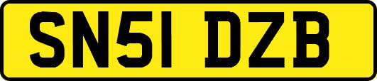 SN51DZB