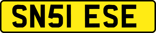 SN51ESE