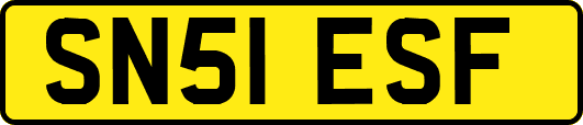 SN51ESF