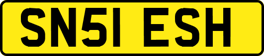 SN51ESH