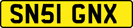 SN51GNX