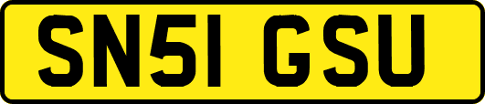 SN51GSU