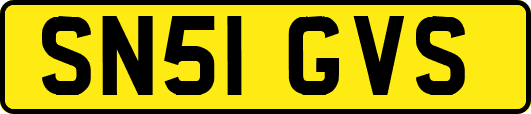 SN51GVS