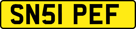 SN51PEF