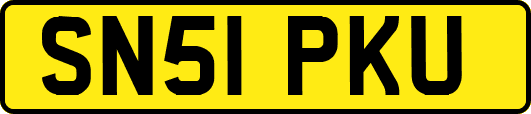 SN51PKU