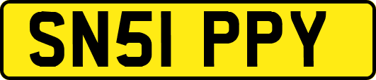 SN51PPY