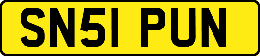 SN51PUN