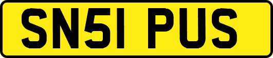 SN51PUS