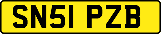 SN51PZB