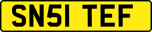 SN51TEF