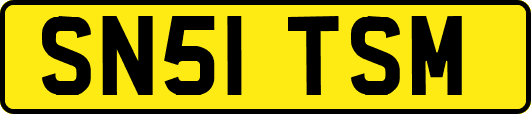SN51TSM