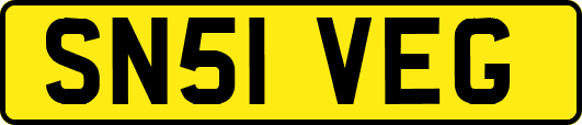 SN51VEG