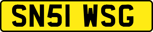 SN51WSG